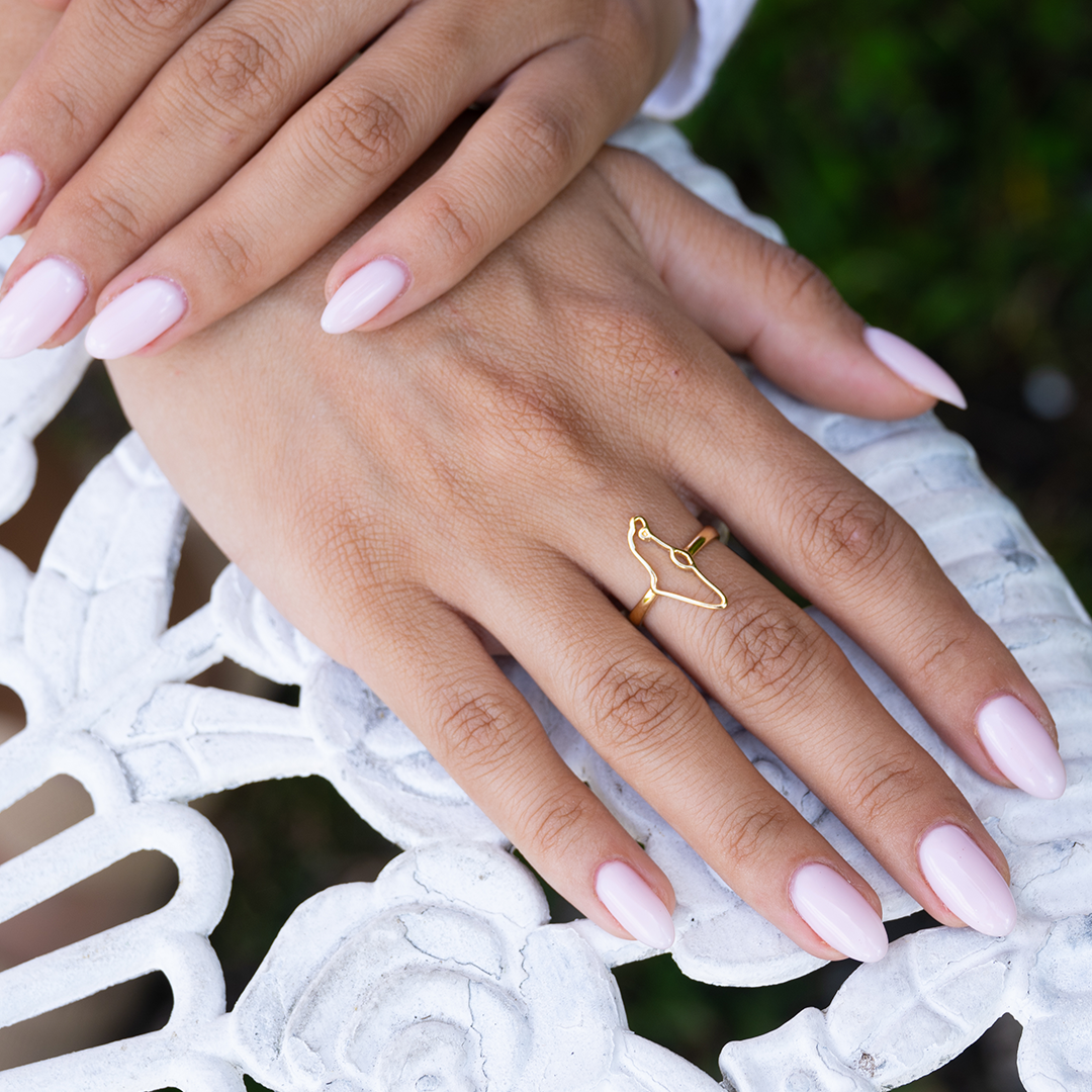 Ring - Israel map small shape