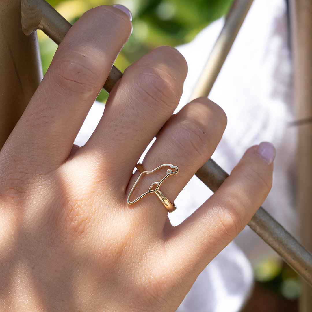 Ring - Israel map small shape