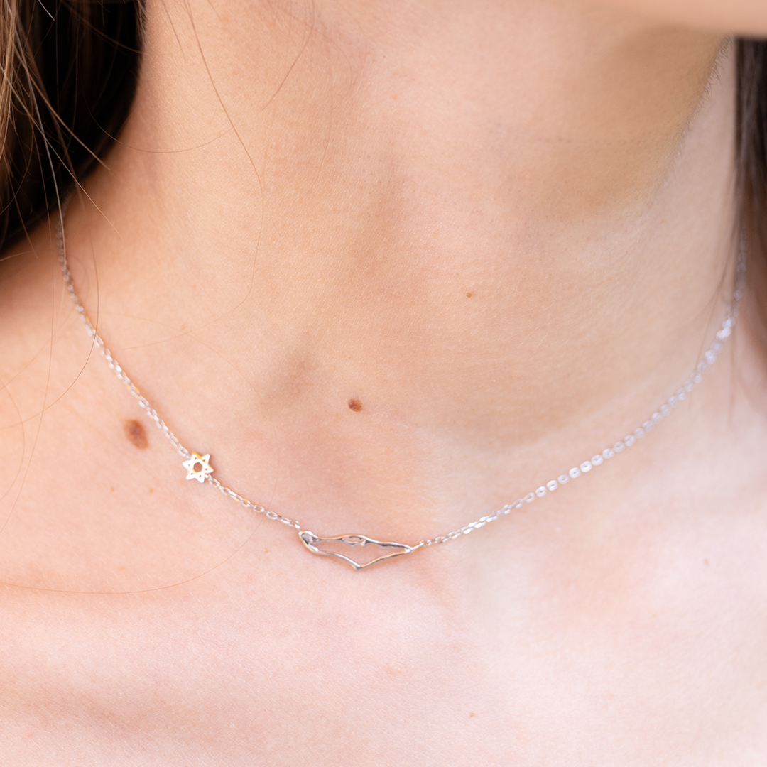 שרשרת ארץ ישראל ומגן דויד עדין Necklace-Dainty Star of David + tiny map of Israel