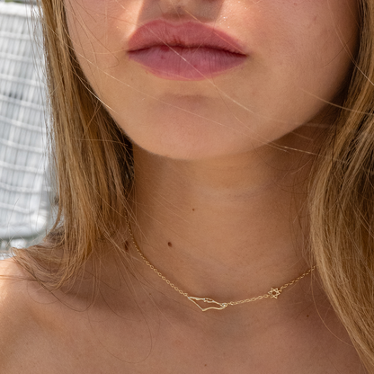 שרשרת ארץ ישראל ומגן דויד עדין Necklace-Dainty Star of David + tiny map of Israel