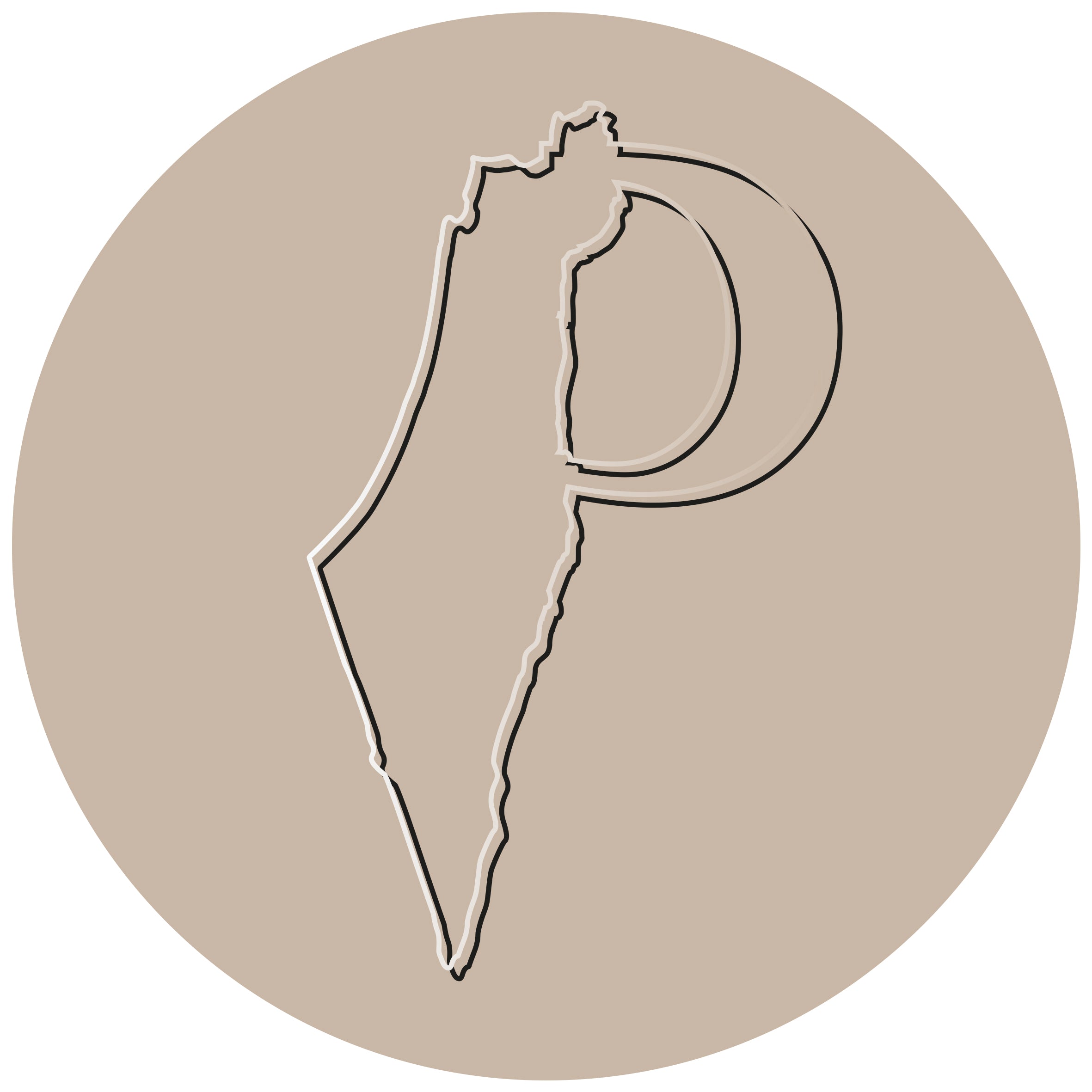 דמוי אבן ירושלמית ( צבוע) Stone-like Coat pained Mezuzah Israel-Shaped