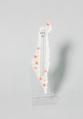 Handcrafted Israel- Shaped Mezuzah