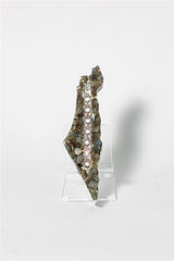 Handcrafted Israel- Shaped Mezuzah